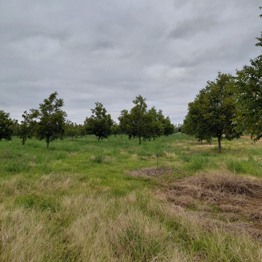Commercial Property for Sale in Hartswater Rural Northern Cape